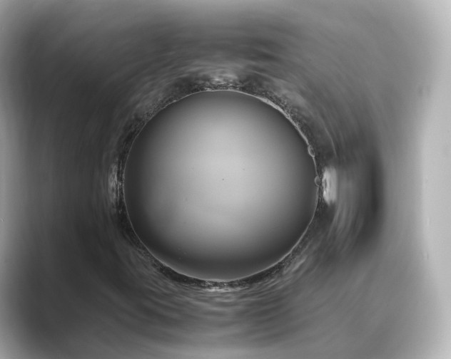 X0000089411395200706221127
