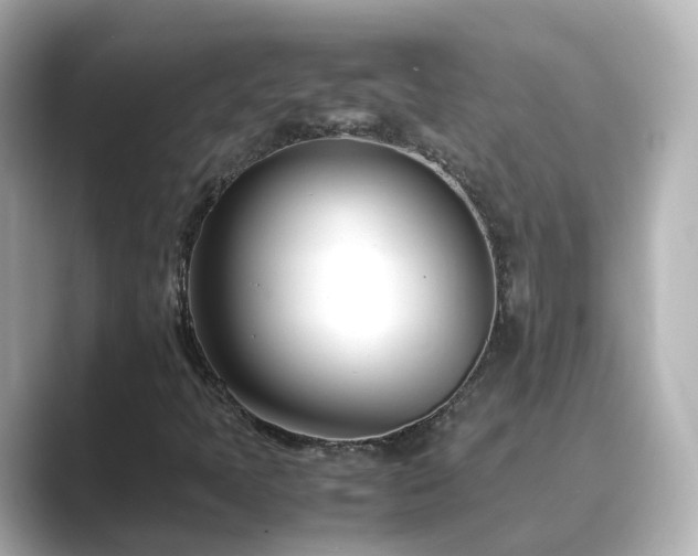 X0000089411397200706221127