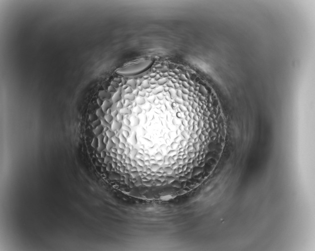 X0000089411399200706221127