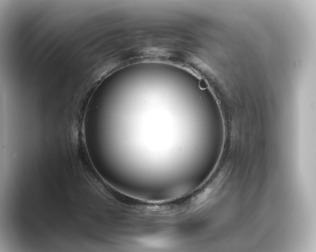 X0000089411401200706221127