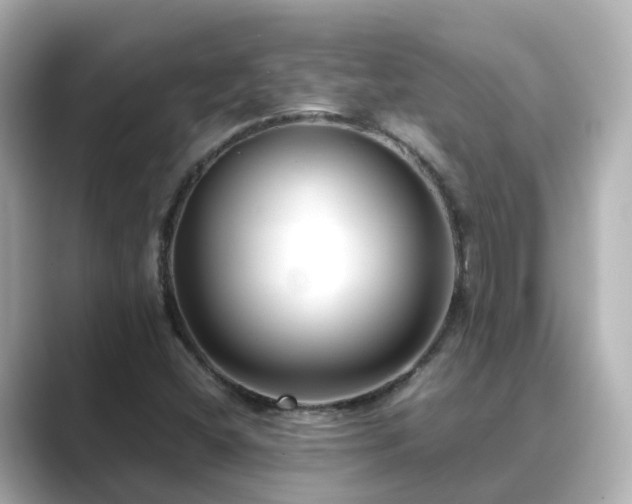 X0000089411404200706221127