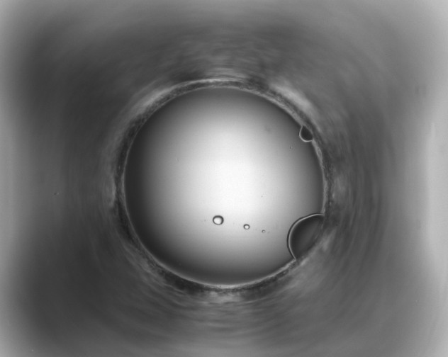 X0000089411407200706221127