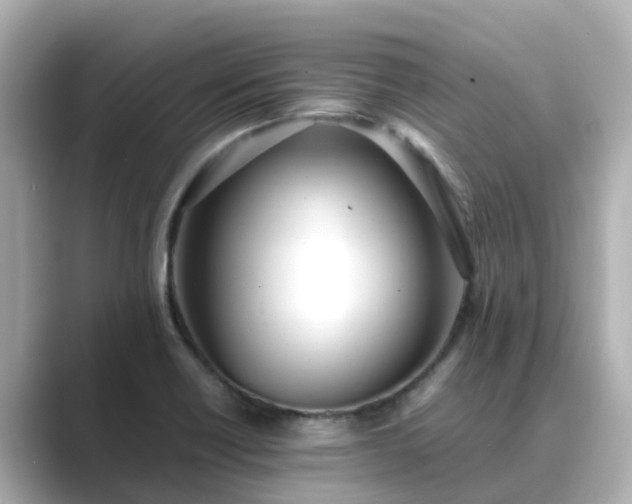 X0000089411418200706221127