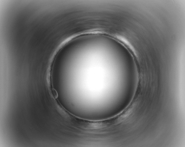 X0000089411421200706221127