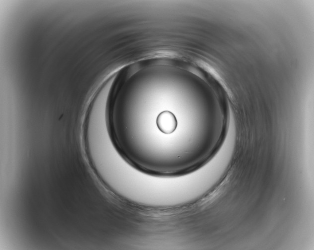 X0000089411426200706221127