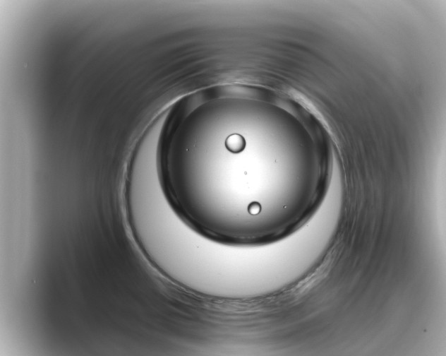 X0000089411434200706221127
