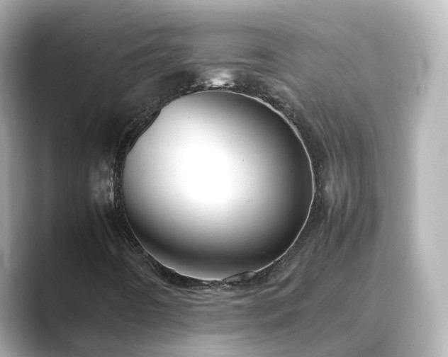 X0000089411442200706221127