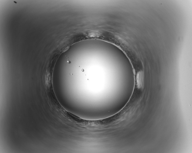 X0000089411443200706221127