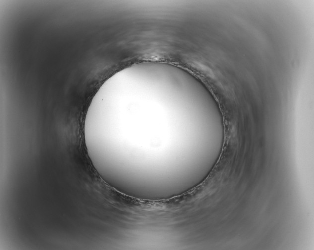 X0000089411446200706221127