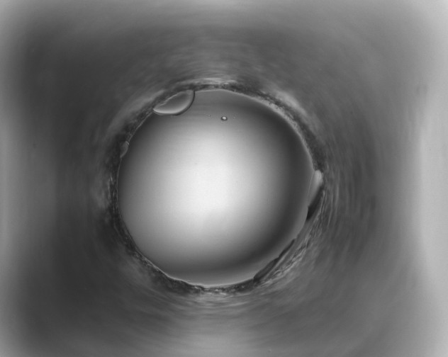 X0000089411448200706221127
