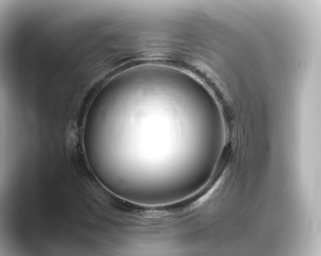 X0000089411449200706221127