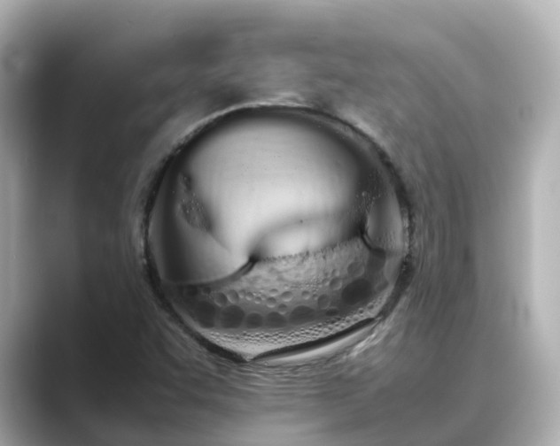 X0000089411455200706221127