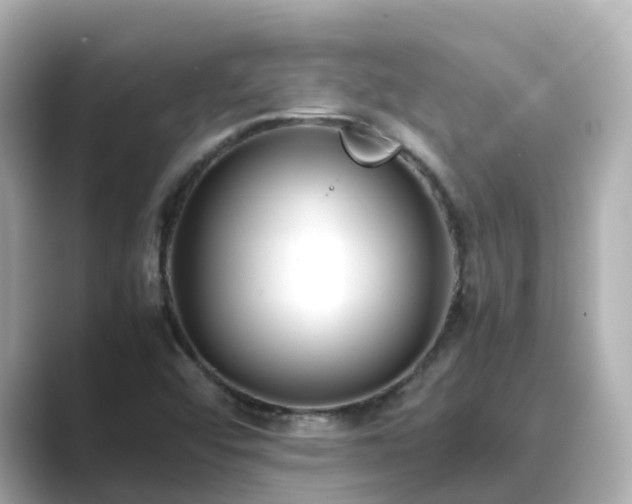X0000089411456200706221127