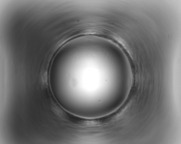 X0000089411465200706221126