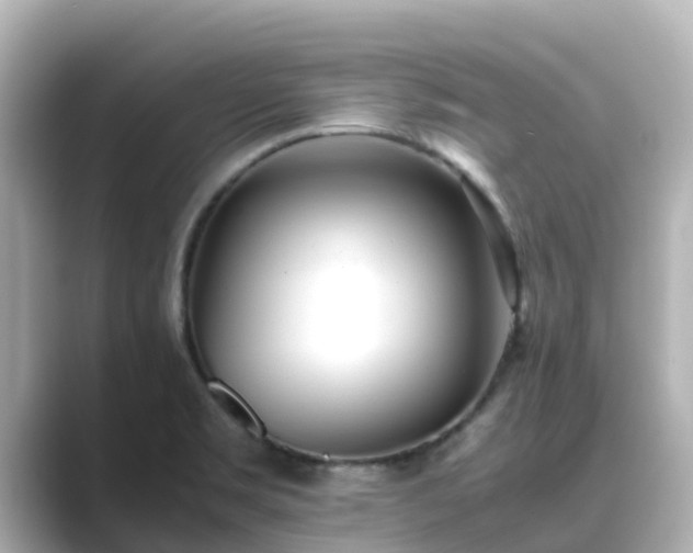 X0000089411469200706221126