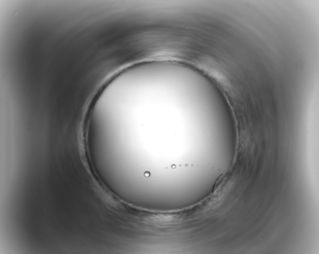 X0000089411470200706221126