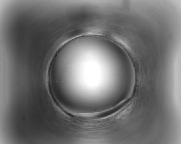 X0000089411471200706221126