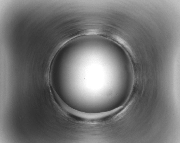 X0000089411473200706221126