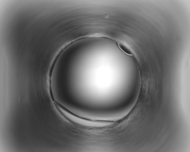 X0000089411476200706221126