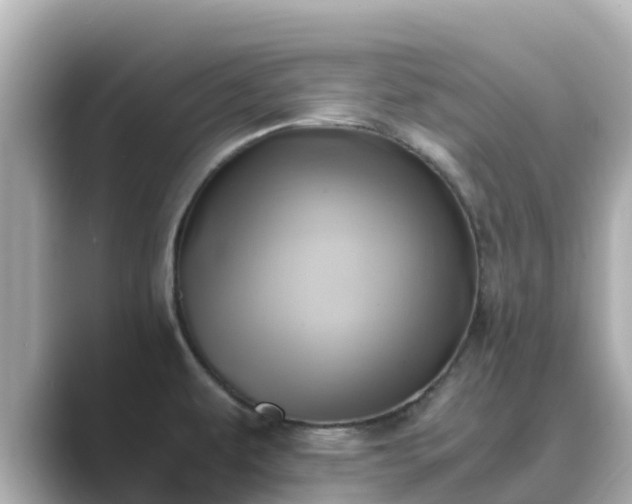 X0000089411479200706221126