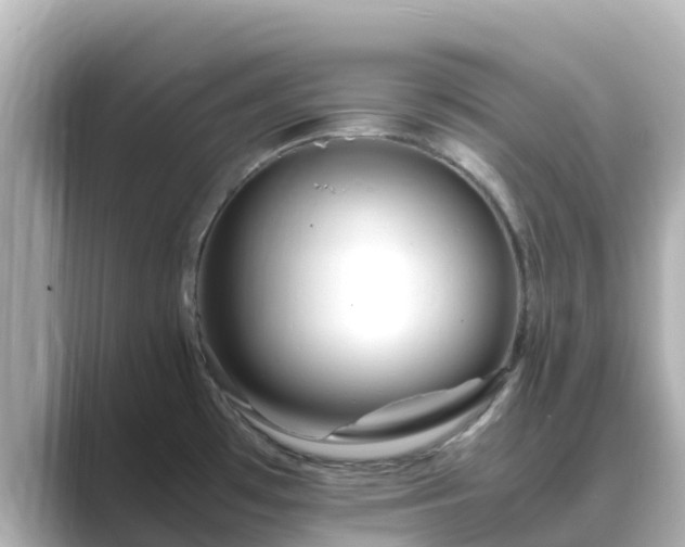 X0000089411481200706221126