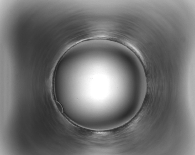 X0000089411483200706221126