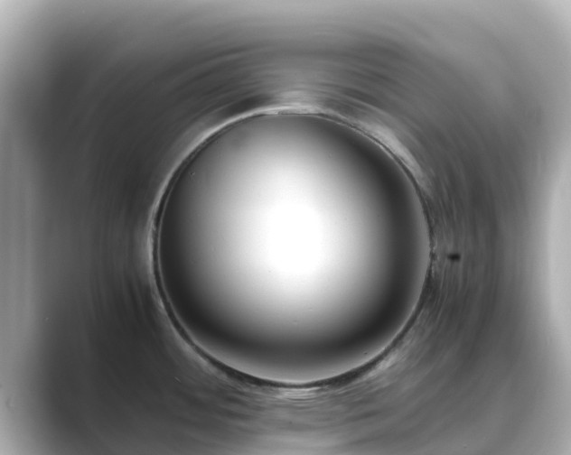 X0000089411484200706221126