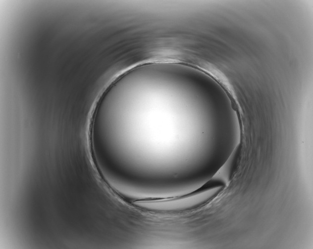 X0000089411488200706221126