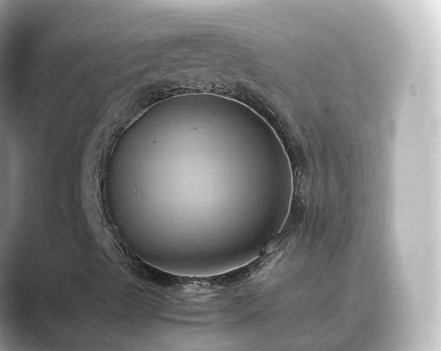 X0000089411489200706221126