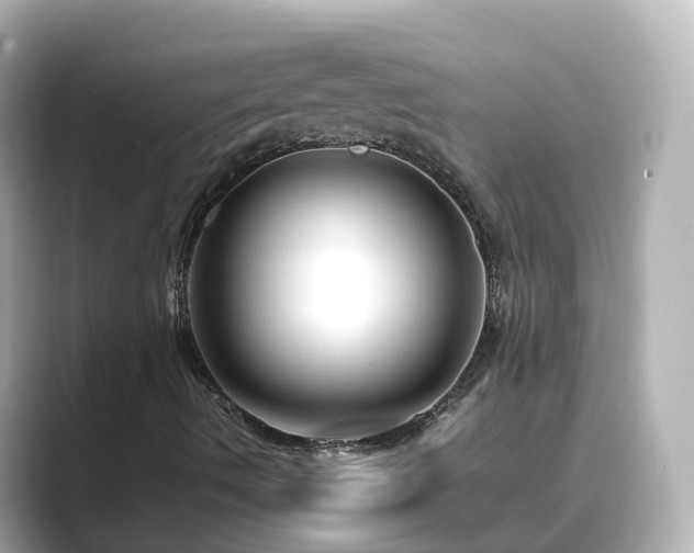 X0000089411490200706221126