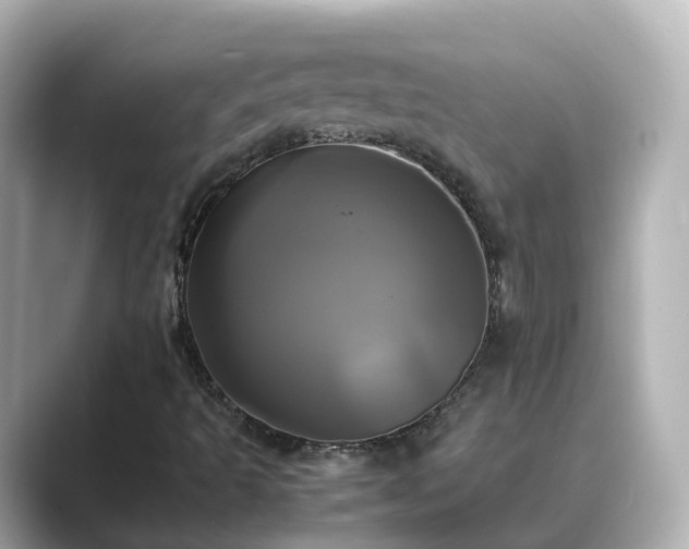 X0000089411493200706221126