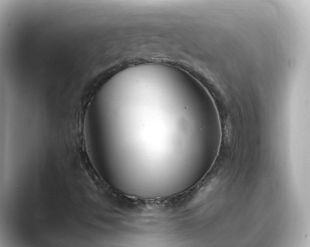 X0000089411494200706221126