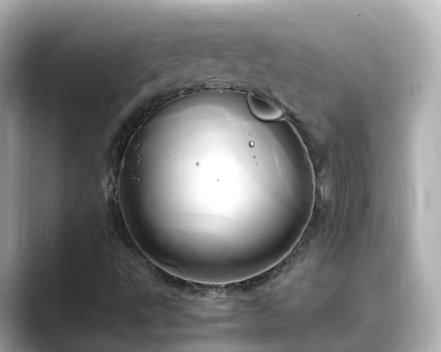 X0000089411495200706221126