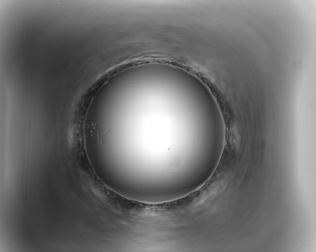 X0000089411496200706221126