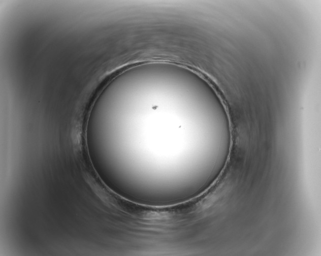 X0000089411499200706221126