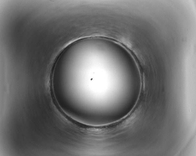 X0000089411500200706221126