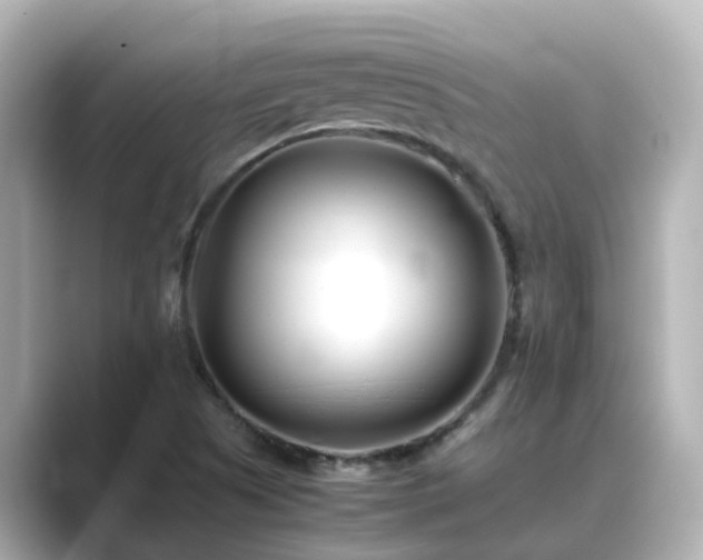 X0000089411505200706221126