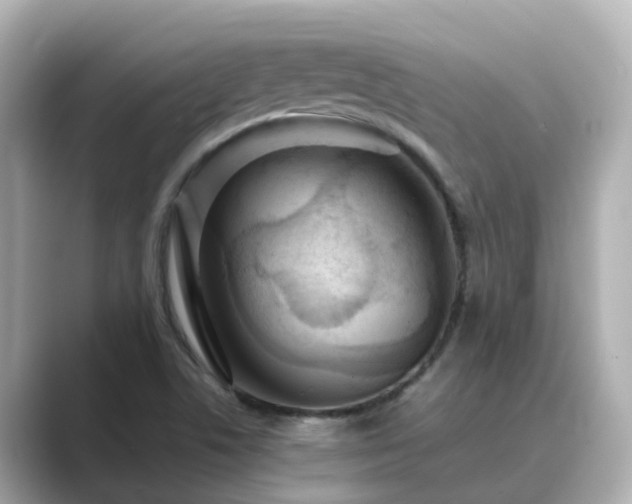 X0000089411506200706221126