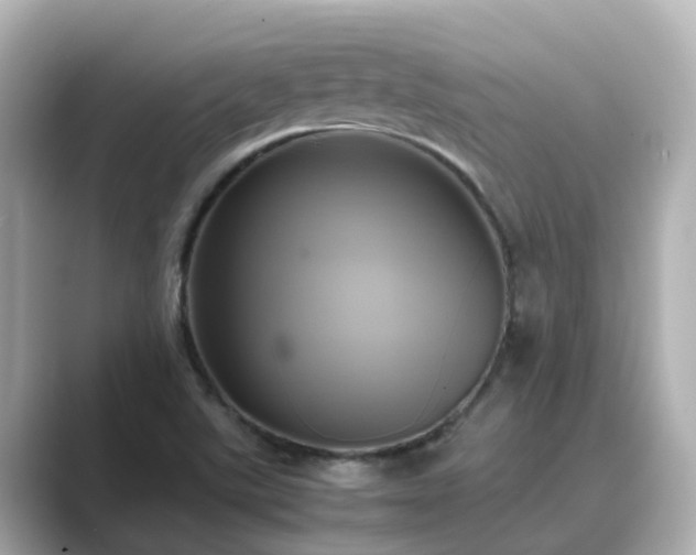 X0000089411507200706221126