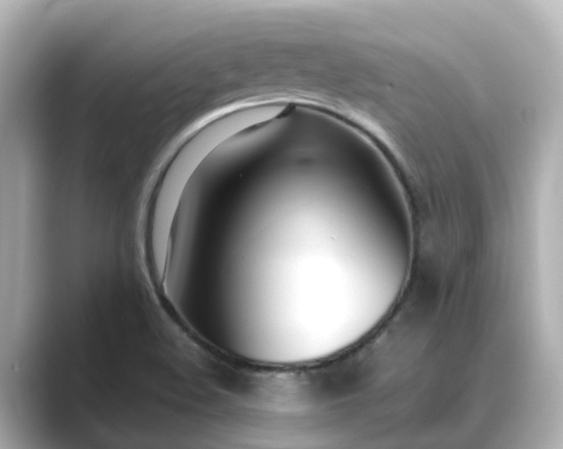 X0000089411508200706221126