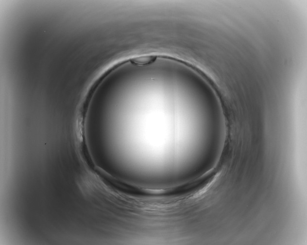 X0000089411510200706221126
