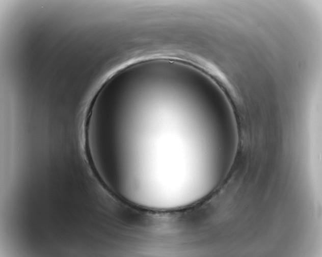 X0000089411512200706221126