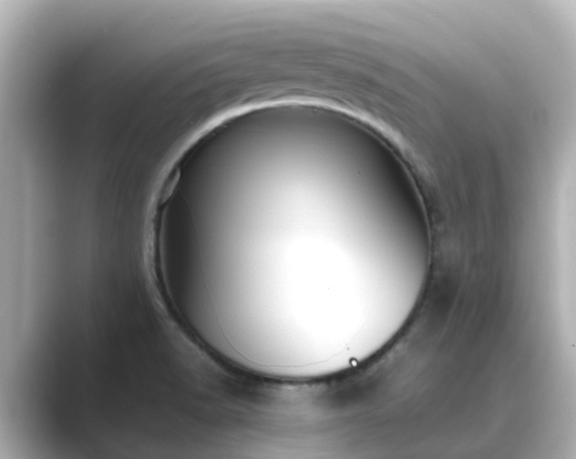 X0000089411518200706221126
