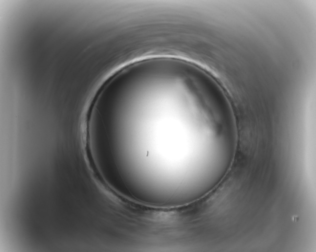 X0000089411519200706221126