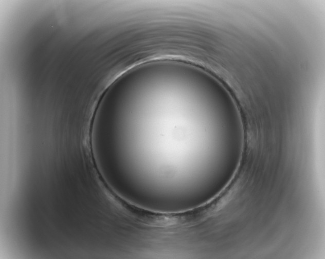 X0000089411521200706221126