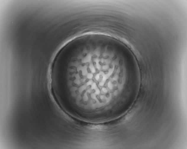 X0000089411522200706221126
