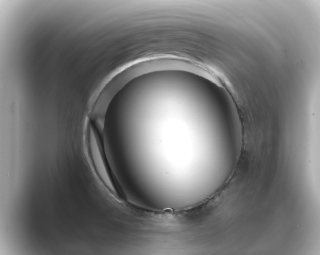 X0000089411524200706221126