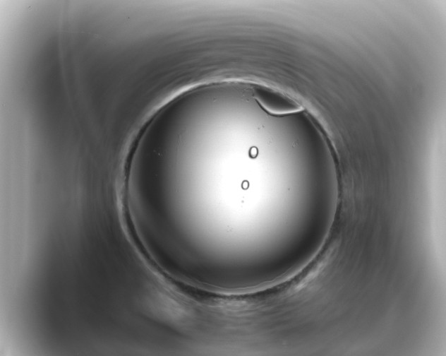 X0000089411525200706221126