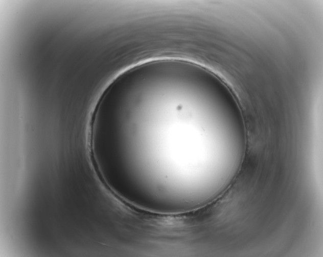 X0000089411527200706221126