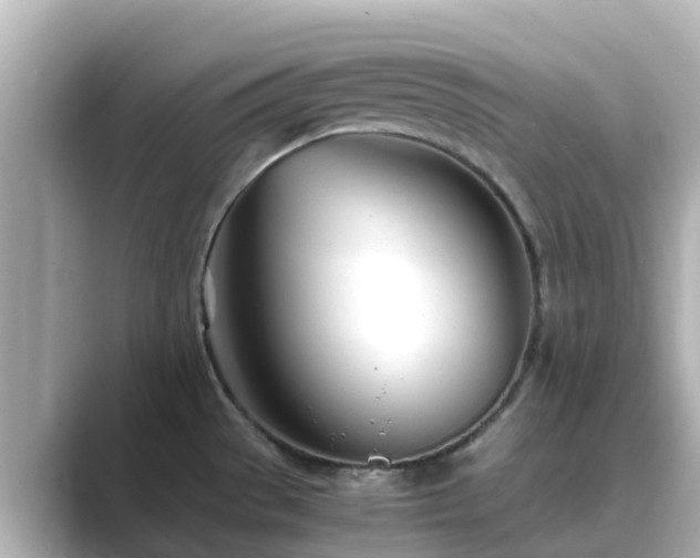 X0000089411529200706221126